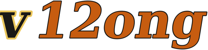 v12ong logo